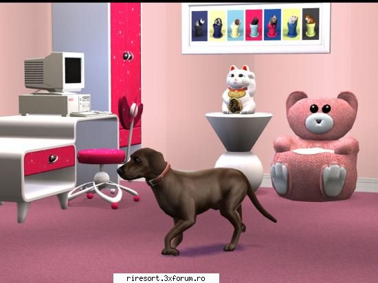 Magazinul de animale - Megara - Magazine
