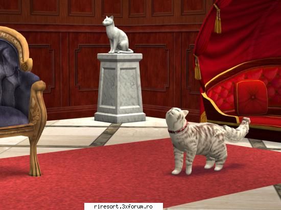 Magazinul de animale - Mylka A fost cumparata! - Magazine